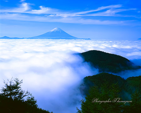 19910526-mizugamoririndo4518001
